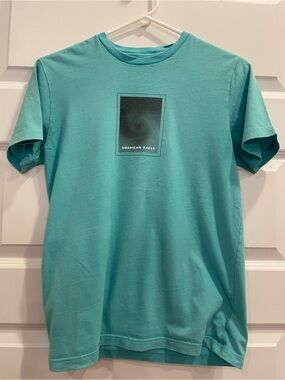 American Eagle Outfitters Aqua Graphic Crewneck Tee